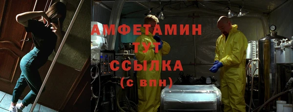 гидра Горнозаводск