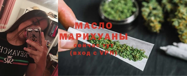 гидра Горнозаводск