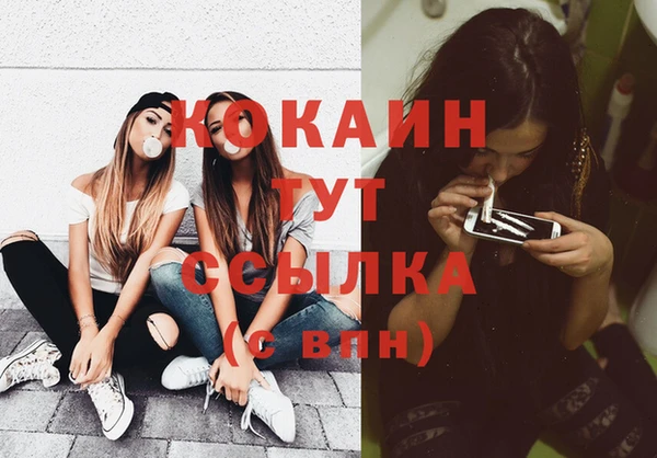 гидра Горнозаводск