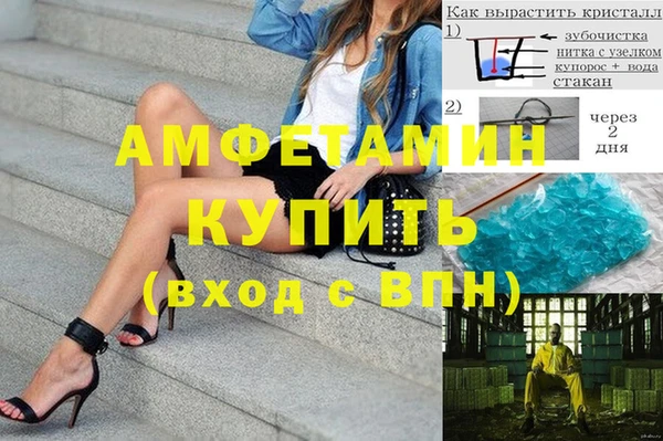 ГАЛЛЮЦИНОГЕННЫЕ ГРИБЫ Горно-Алтайск