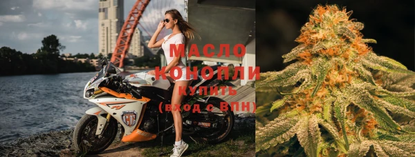 гидра Горнозаводск