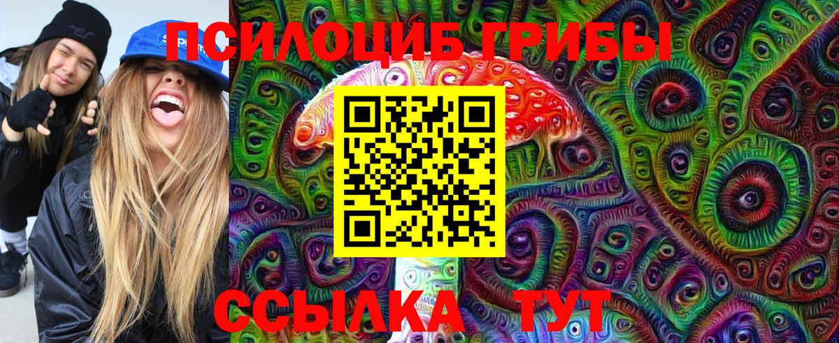 Дальнереченск  Псилоцибиновые грибы Psilocybe  Вход с VPN 